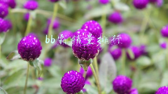 bb霜销量排行