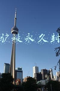 二驴被永久封号原因视频(二驴夫妇遭封禁。方丈表示年货节就是给主播们一个割韭菜的理由)