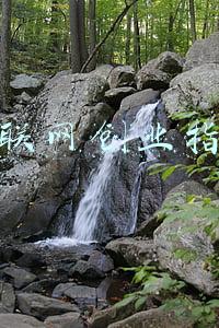 互联网创业做什么好(互联网创业点子有哪些？四种创业小点子)