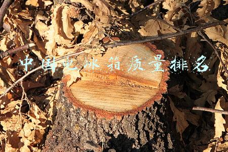 中国电冰箱质量排名介绍(冰箱什么牌子好？国内十大冰箱品牌排行榜您知道几个？)