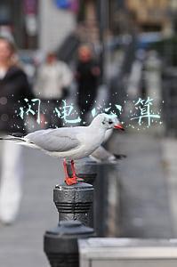 闪电心算教程(“闪电”心算：小学数学“+-×÷”速算技巧，家长终于能省心了！)