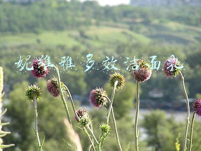 妮维雅多效洁面乳 妮维雅多效洁面乳
