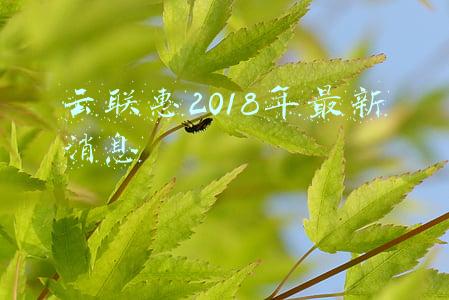 云联惠12月最新消息(大快人心！以“云联惠回归”为名诈骗敛财的文武老师等12人被抓！)