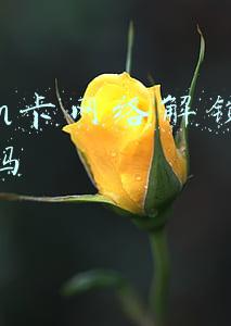 sim卡已锁,请输入PIN码(手机卡PIN码是什么？为什么警方建议开启它？)