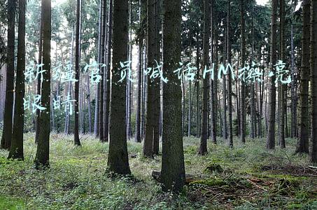 新疆官员喊话hm擦亮眼睛9(新疆官员喊话HM擦亮眼睛：中国早已不是1840年的中国)