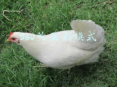 360的盈利模式与哪家公司一样(三六零2020年报：政企端营收超预期 领跑“千亿级”政企安全赛道)