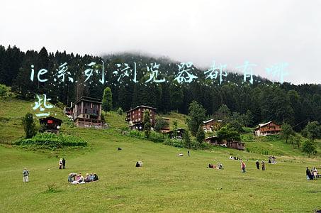 ie系列浏览器都有哪些