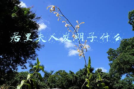 居里夫人发明了什么