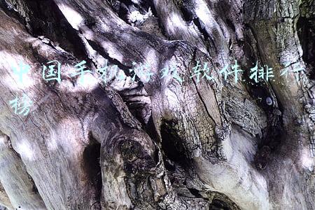 中国手机游戏软件排行榜