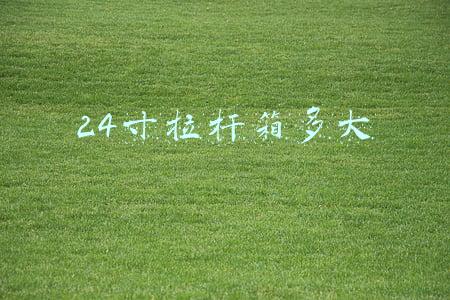 28寸拉杆箱多大尺寸(坐高铁一人可以带两个行李箱吗？)