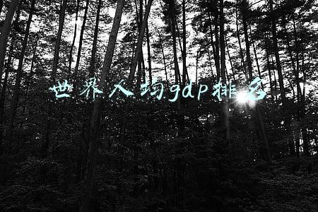 世界人均gdp排名