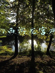 梦幻西游龙宫加点2022(梦幻西游手游龙宫加点 各方案加点分享)