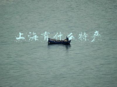 上海有什么特产