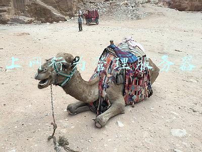 上网行为管理服务器能看到内网的电脑桌面(在家的宽带也能进入公司内网？2大方法安全在家远程办公)