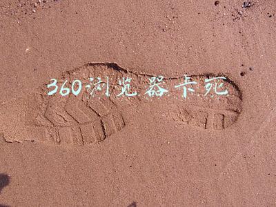 360浏览器卡死