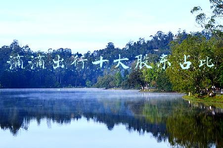 滴滴出行十大股东占比
