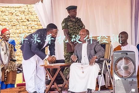 苹果手机硬件检测