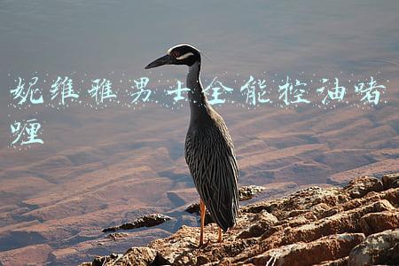 妮维雅男士控油洗面奶怎么样(洗面奶推荐：洗后令肌肤滋润、不紧绷有效平衡肌肤，恢复清爽质感)