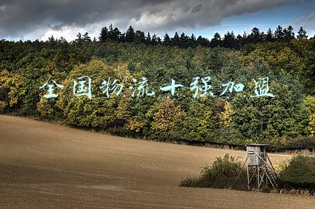 全国物流十强加盟