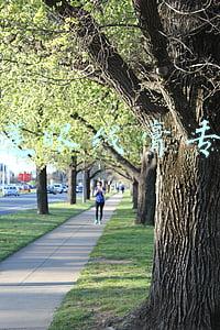 美宝莲眼线膏干了怎么办(眼线产品哪些好？各位小仙女找到合适自己的眼线产品了吗？)