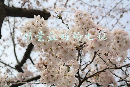 销量最好的电视