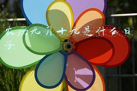 农历九月十九是什么日子