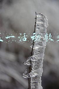 五一活动软文
