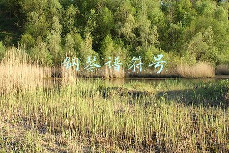钢琴谱符号