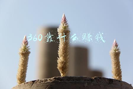 360靠什么赚钱