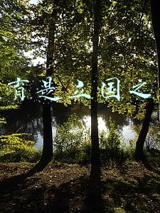 教育是立国之本
