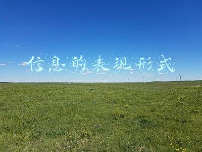 信息的表现形式
