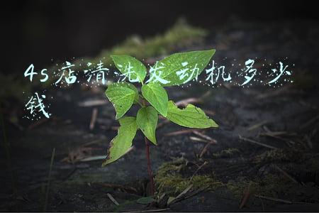4s店发动机清洗 4s店发动机清洗有必要吗