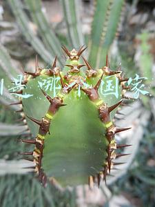 tcl是哪个国家的牌子(三大业务加速引擎，TCL实力诠释“中国电视的全球领跑者”地位)