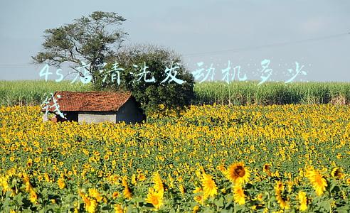 4s店清洗节气门多少钱-日产4s店清洗节气门多少钱