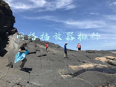 网络播放器排行