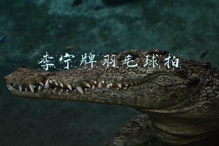 李宁牌羽毛球拍价格(泉州台商区集中销毁一批假冒注册商标商品)