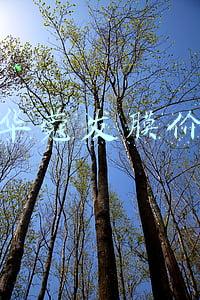 施华蔻发膜哪款好(「弦镜」京东8月发膜榜单)