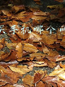 网上买手机哪个平台好(买手机在网上买还是实体店买好？过来人经验了解下，帮你避开大坑)