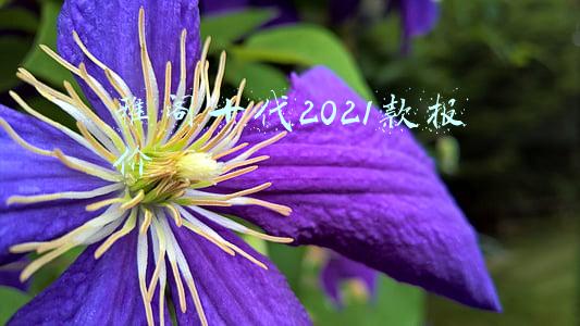 雅阁十代2021款报价