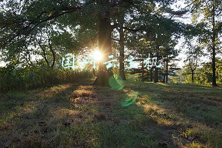 国内云主机
