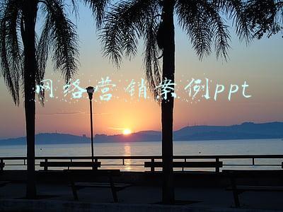 网络营销案例ppt