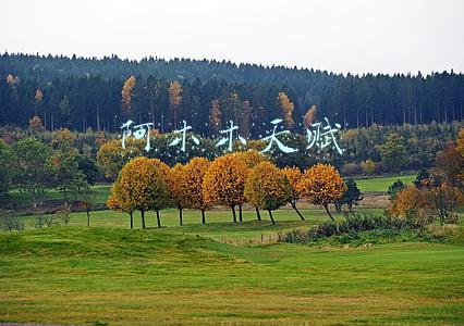 阿木木天赋打野(10.22阿木木野区逆袭 三套符文灵活切换)