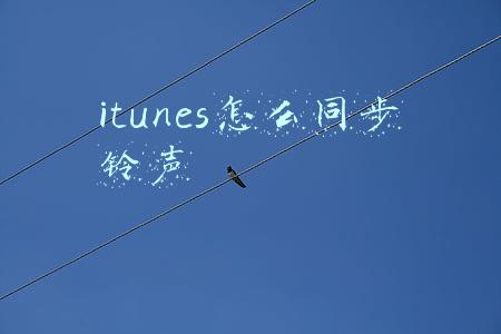 itunes怎么同步铃声到iphone(苹果用户iTunes自制自定义铃声教程)