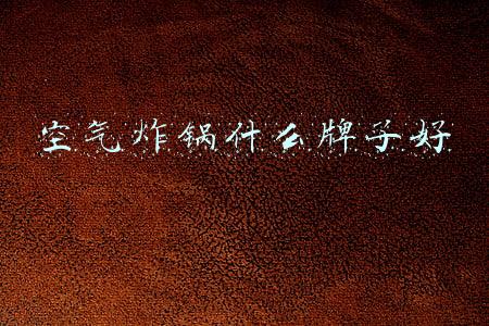 什么牌子的空气炸锅最好用(双十一如何选择空气炸锅，飞利浦、宜盾普、东菱、BRUNO炸锅横评)
