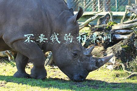 哪个招聘网招人不要钱(人社部推荐56家正规招聘网站)