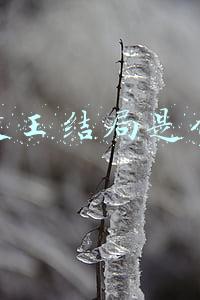 兰陵王结局是什么