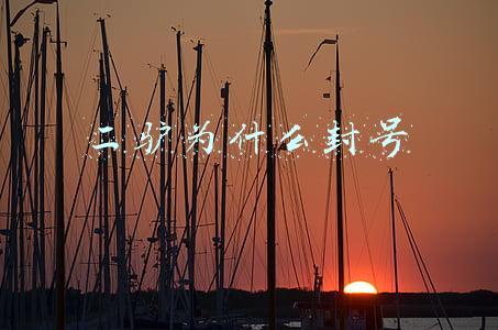 二驴为什么封号