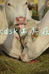 chkdsk工具在哪