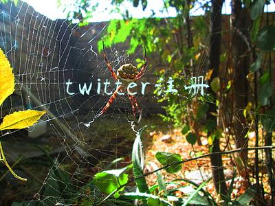 twitter注册手机收不到验证码(Twitter：用户可以在不提供手机号码的情况下，启用双因素身份验证功能)