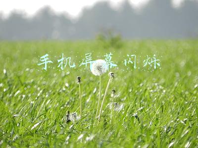 手机屏幕闪烁